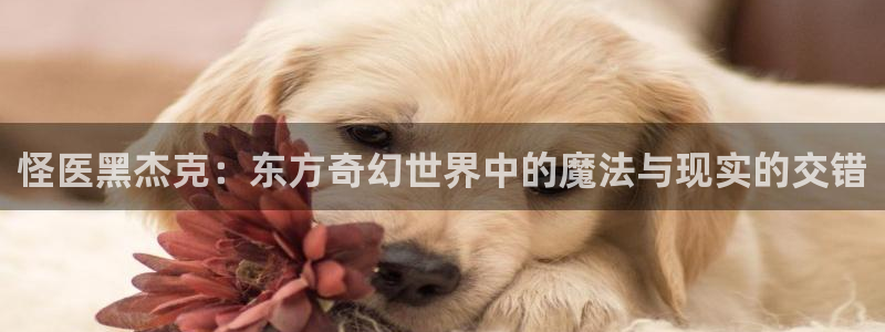 番薯动漫下载